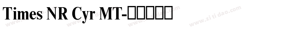 Times NR Cyr MT字体转换